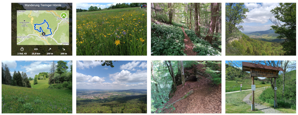 Wanderung Tieringer Hörnle